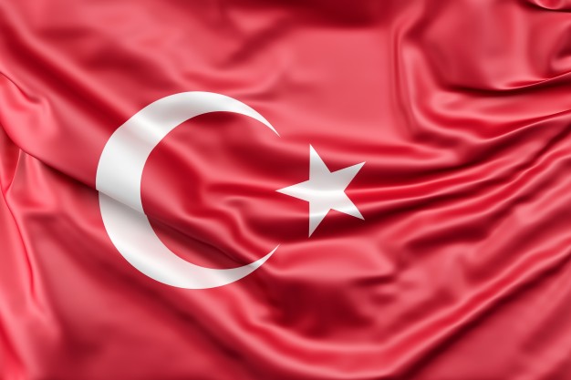 Круглый стол «Выборы в Турции и региональная безопасность»